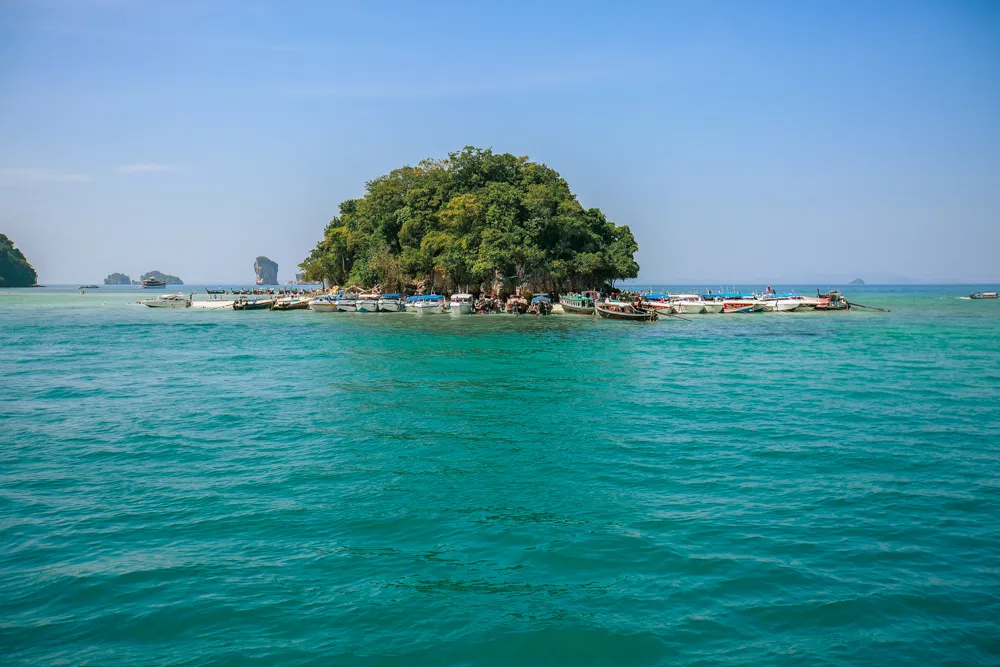 4 islands photo trip Krab